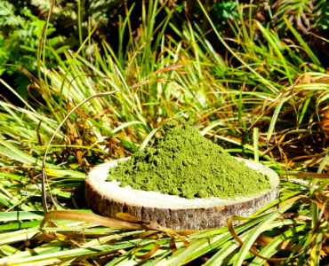 How Kratom is Made